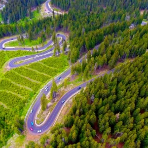 Transalpina